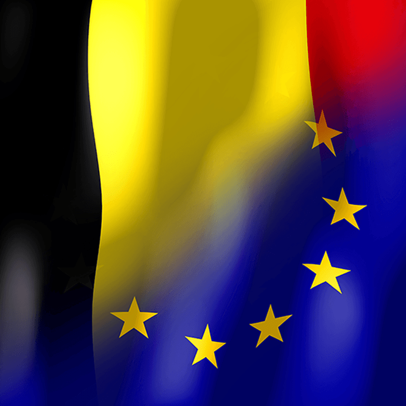 Mental health and work - EU Presidency of Belgium