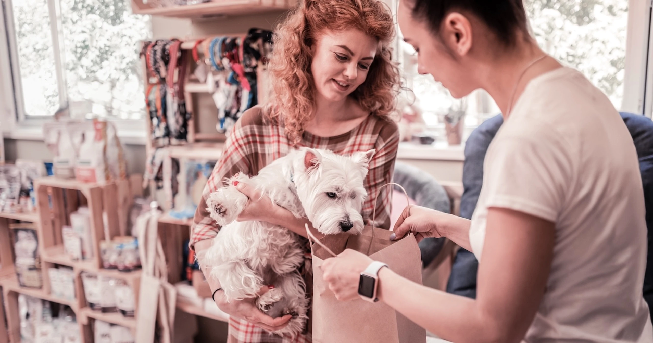 Two women in a pet store: one holding a small white dog, the other handing over a brown paper bag. Shelves of pet products in the background.
