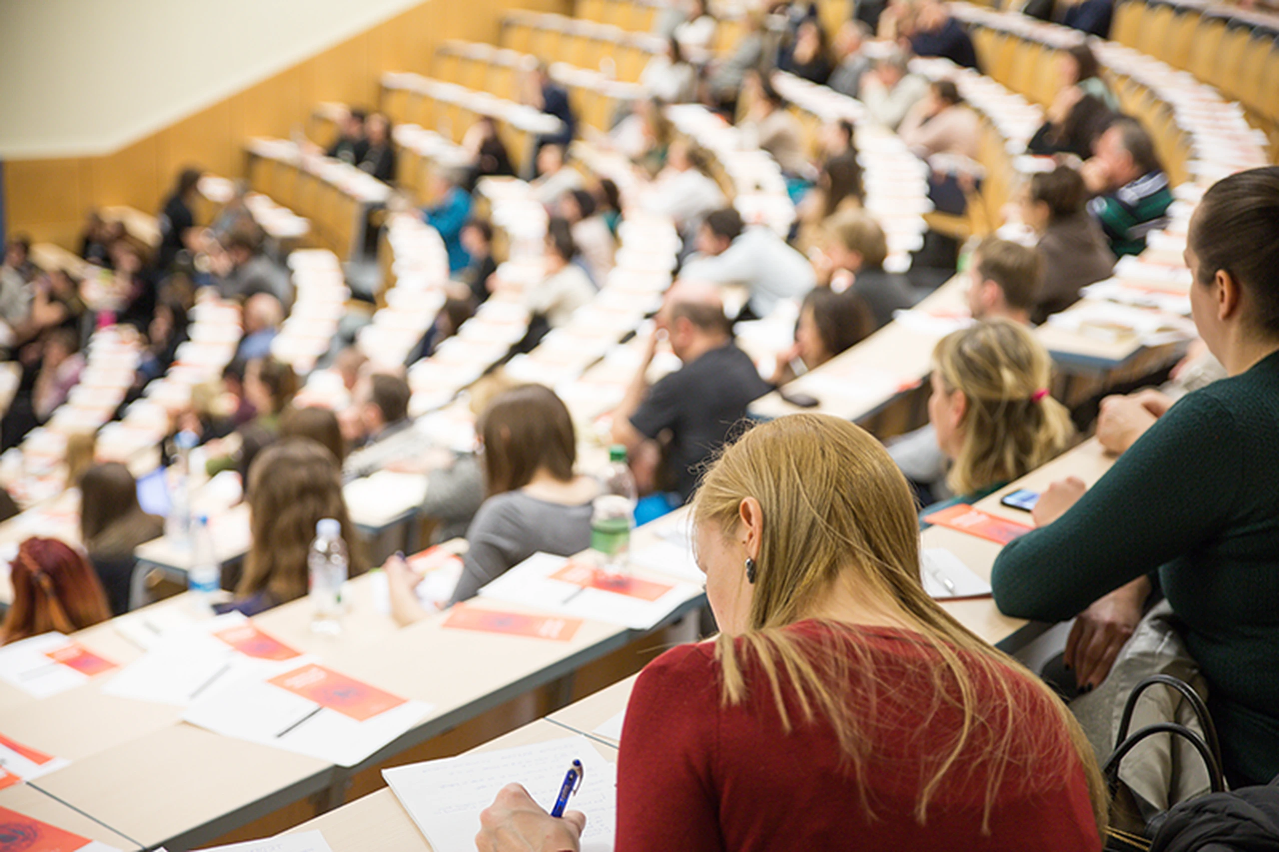 Role of human capital inequalities in social cohesion and convergence